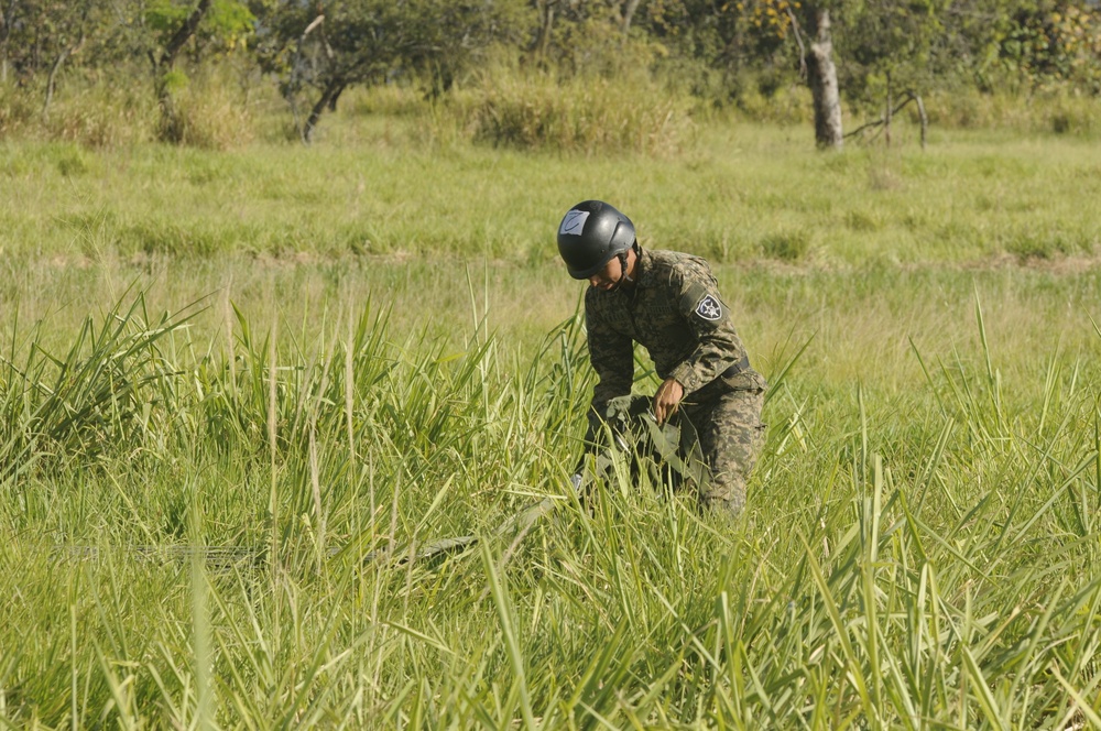 International paratroopers particapte in friendship jump during Fuerzas Comando 2014