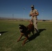 Dog Days: K-9 demo for Headquarters Battalion