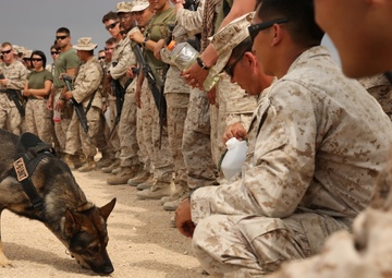 1st LEB conducts security classes alongside K-9 Division during ITX