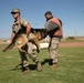 Dog Days: K-9 demo for Headquarters Battalion