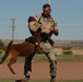Dog Days: K-9 demo for Headquarters Battalion