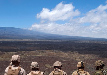 Coalition team makes impact during RIMPAC fire support exercise