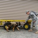 Military working dog and handler practice explosives detection
