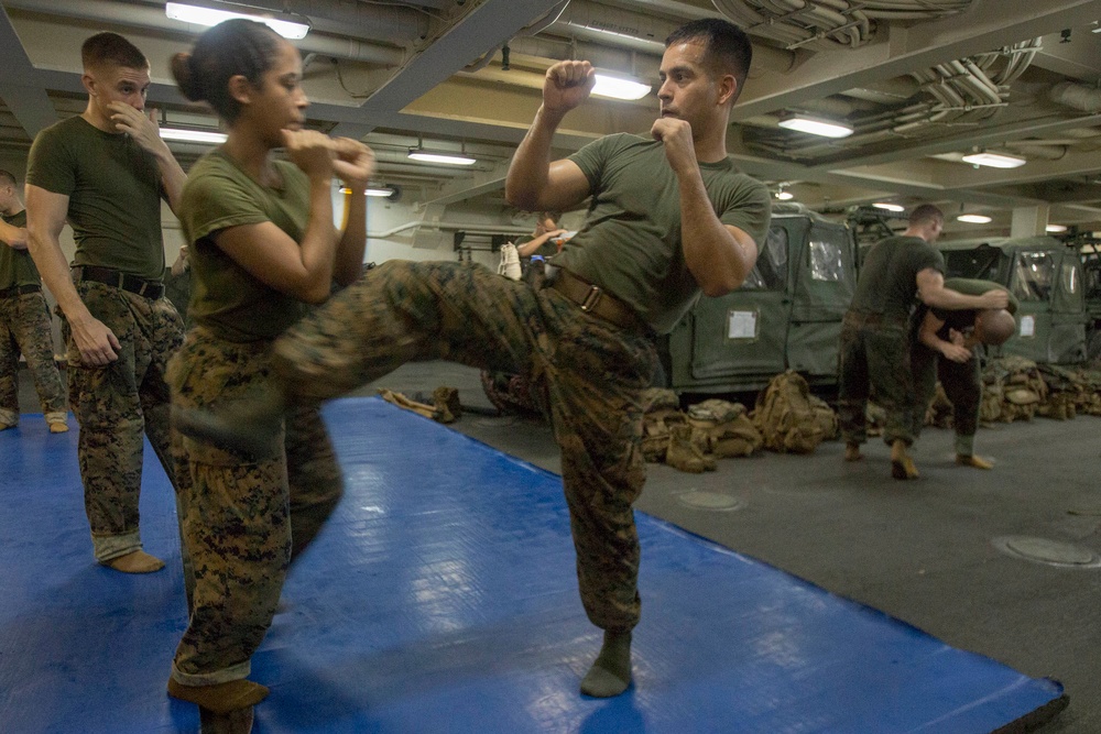 Marines perform martial arts training aboard Mesa Verde