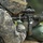 2CR at the range