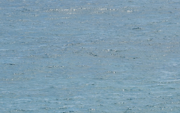 Amphibious assault, RIMPAC 2014