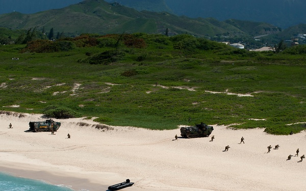 Amphibious assault, RIMPAC 2014