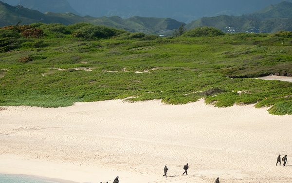 Amphibious assault, RIMPAC 2014