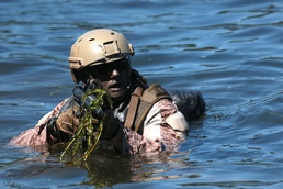 USA's best offense meets NFL's best defense