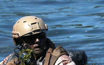 Marine Week Seattle: A Month in Review
