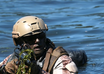 Marine Week Seattle: A Month in Review