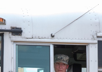 Transportation drives Vibrant Response