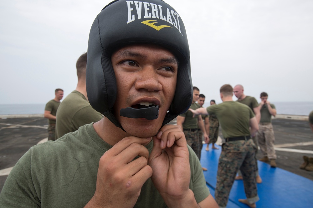 One mind, any weapon: Marines spar aboard Mesa Verde