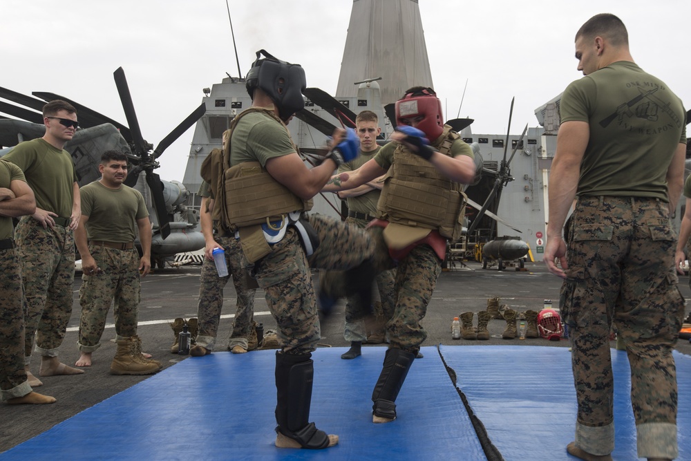 One mind, any weapon: Marines spar aboard Mesa Verde