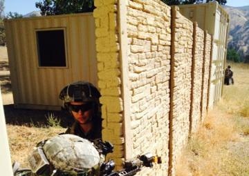 Total Force Policy highlights need for cross-component training