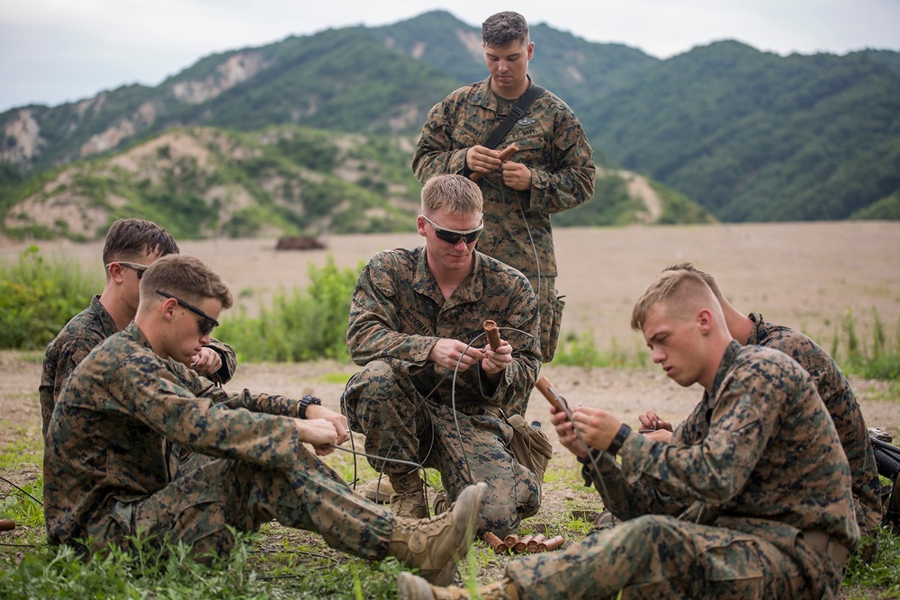 Exploding onto field, engineer Marines take range