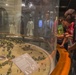 CAB Marines visit sites, gain perspective on Korean history