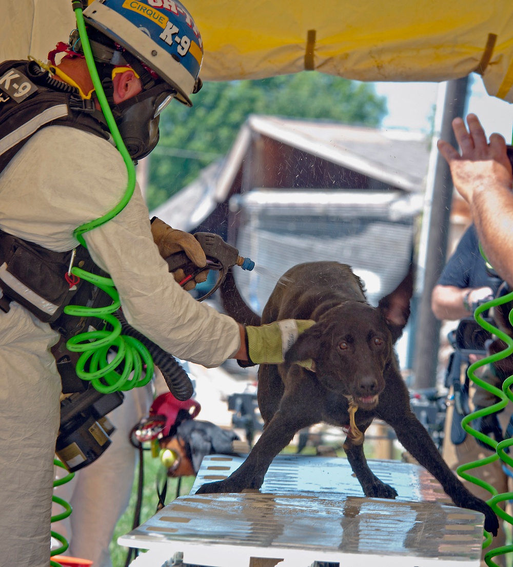 Rescue Dogs get decontaminated after conducting search and rescue at Vibrant Response 2014