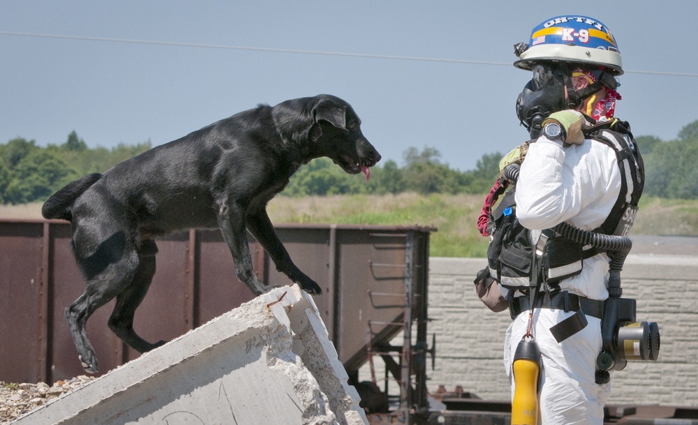 Ohio Task Force 1 Rescue Dogs conduct search and rescue at Vibrant Response 2014
