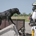 Ohio Task Force 1 Rescue Dogs conduct search and rescue at Vibrant Response 2014