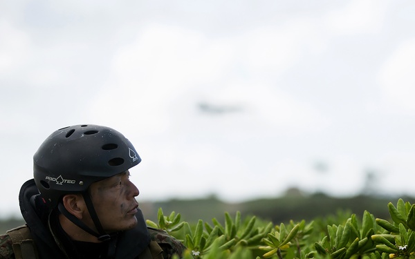 Amphibious capabilities demonstration