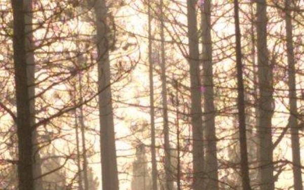 Miramar Fire Department supports Klamath National Forest fires