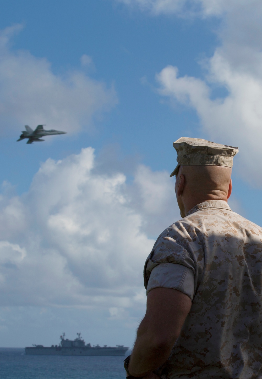 Senior military leaders view amphibious demonstration