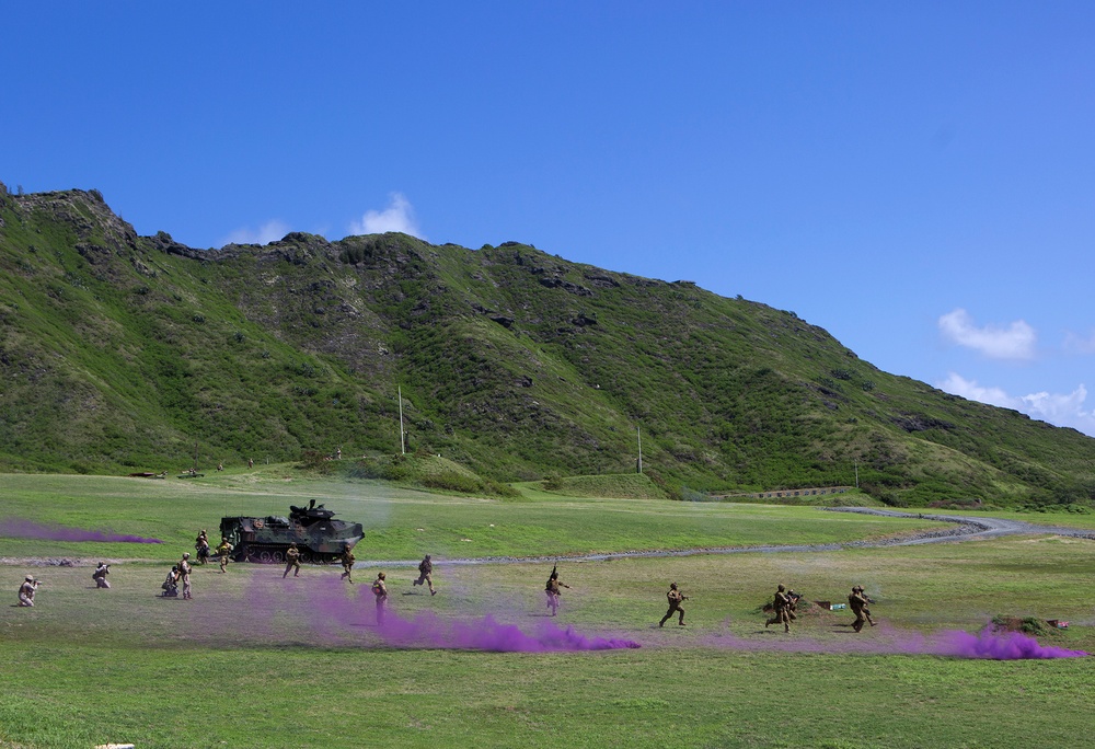 Senior military leaders view amphibious demonstration
