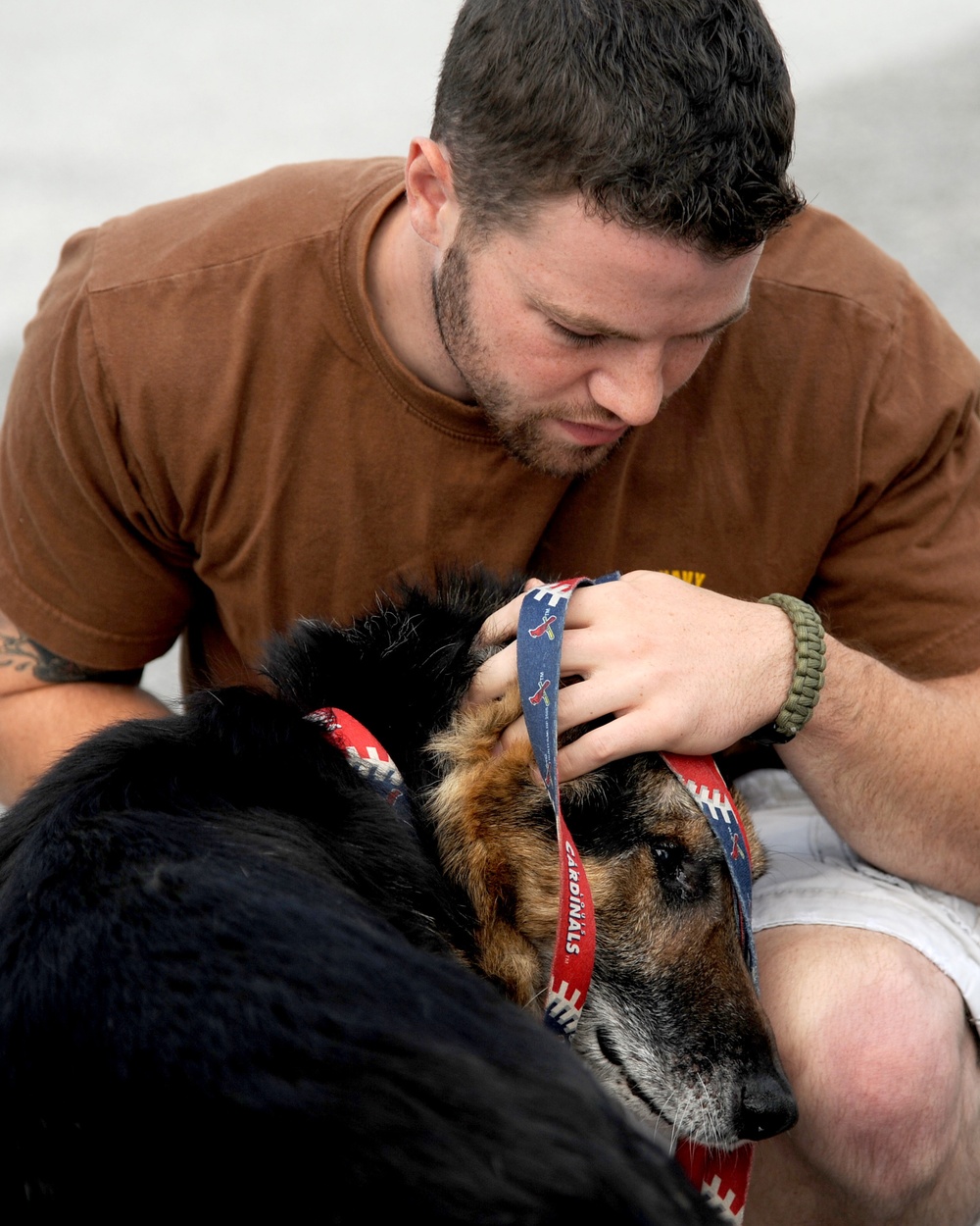 Military working dog receives military honors