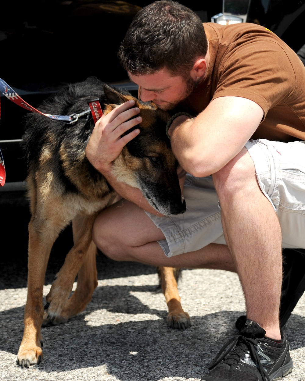 Military working dog receives military honors