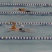 Air Force Wounded Warriors training
