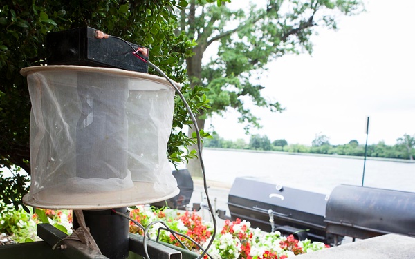 Mosquito-borne viruses hit summer peak, WNV discovered on Fort McNair