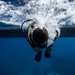 Underwater photo team