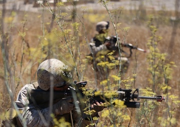 SOTG: Training for success