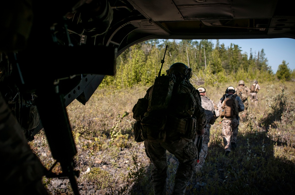 Operation Northern Strike 2014