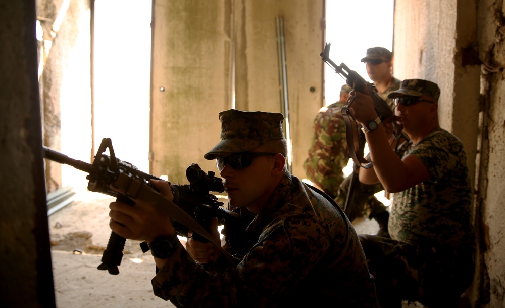 Black Sea Rotational Force 14 continues Platinum Lion