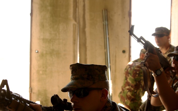 Black Sea Rotational Force 14 continues Platinum Lion