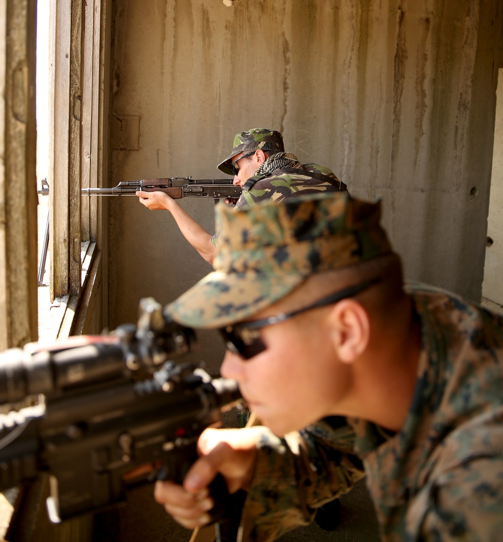 Black Sea Rotational Force 14 continues Platinum Lion