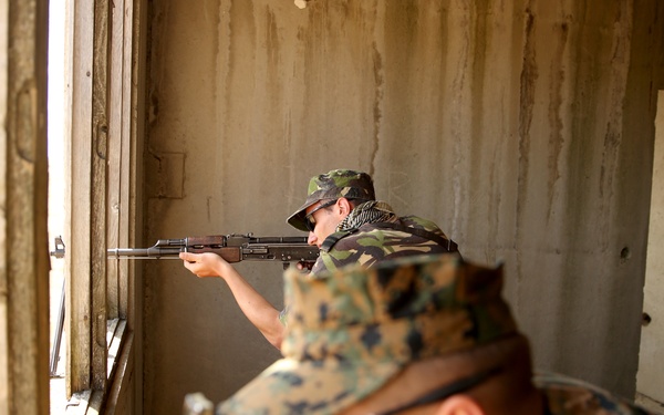 Black Sea Rotational Force 14 continues Platinum Lion