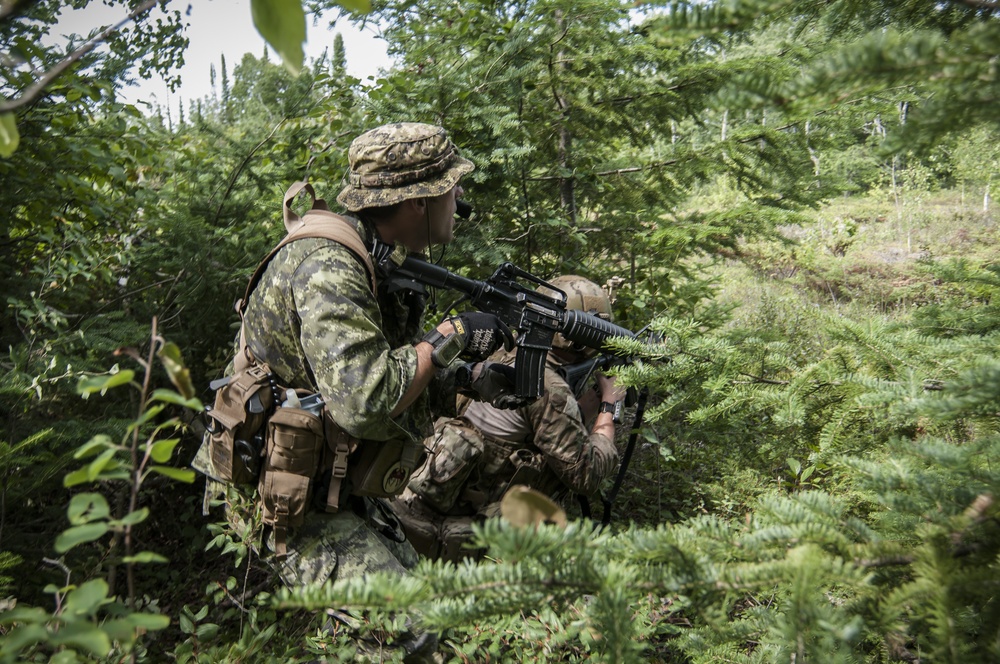 Operation Northern Strike 2014