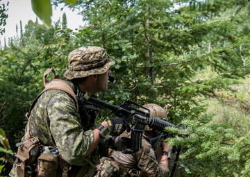 Operation Northern Strike 2014