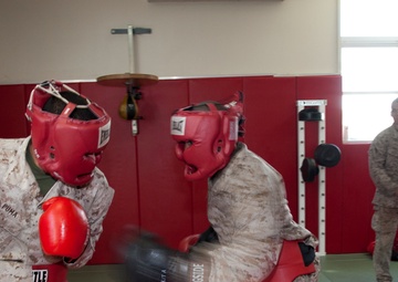 Marines run gauntlet of instructor training