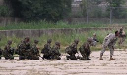 Air assault paves path to combined readiness