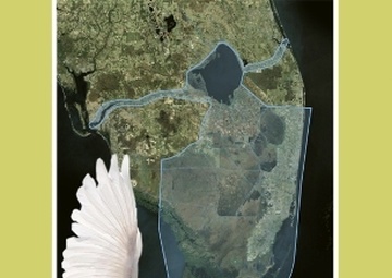 Corps releases Central Everglades report for public, state and agency review