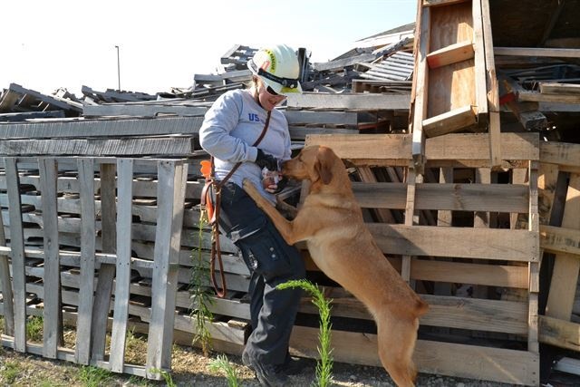 Kansas Task Force K-9 Unit gains training experience during disaster exercise in Salina