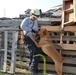 Kansas Task Force K-9 Unit gains training experience during disaster exercise in Salina