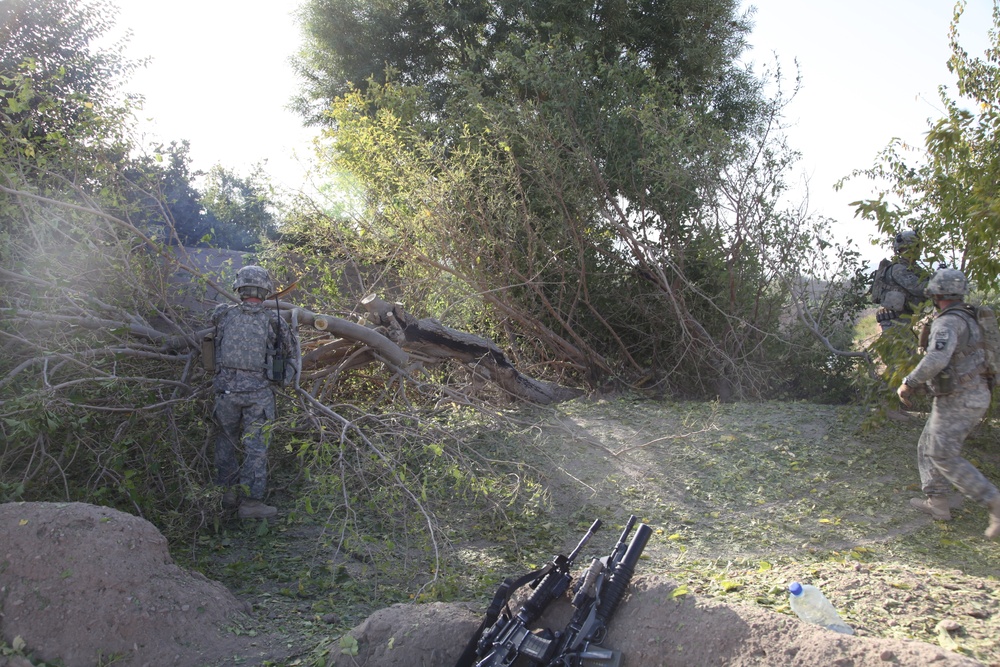 Tree-clearing operation in Kandalay