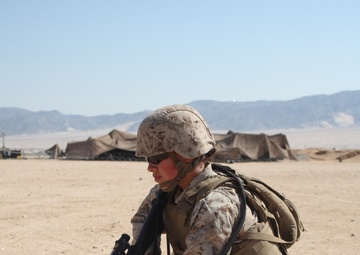 Large Scale Exercise-14