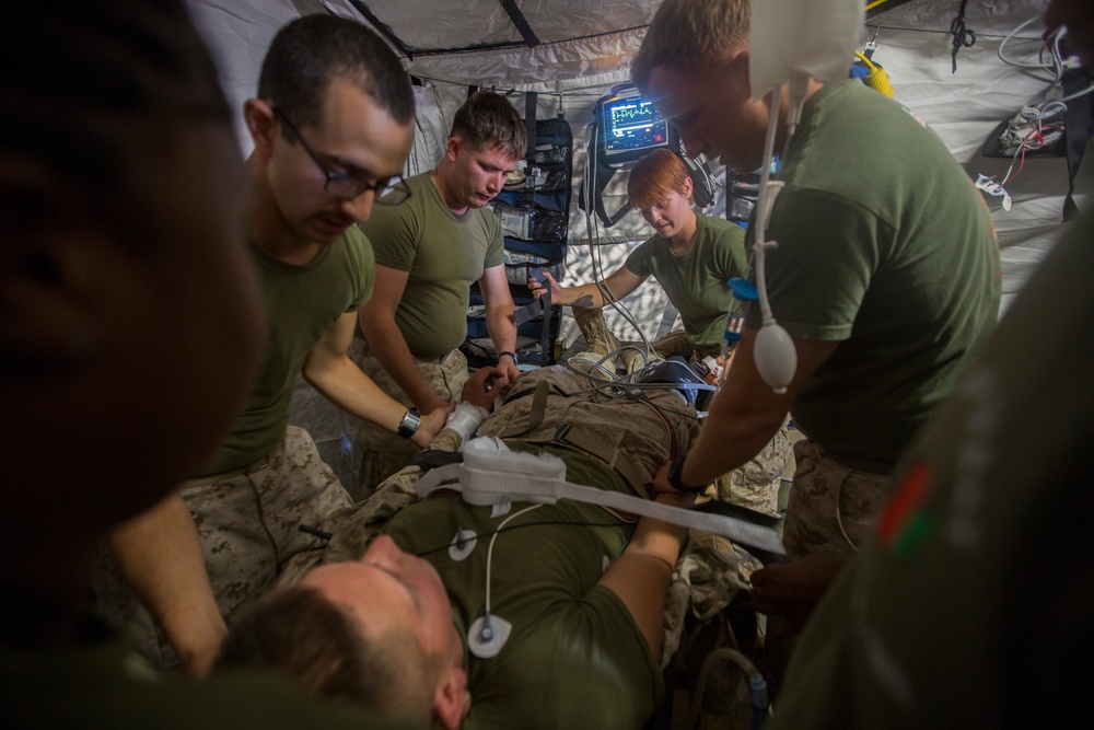 Large Scale Exercise 2014