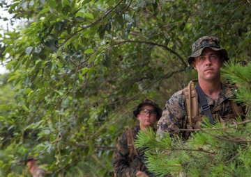 Jungle patrol tests ROK, US Marine tactics